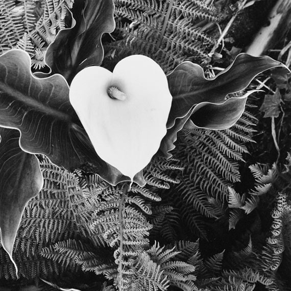 River Clay artist Arne Croell