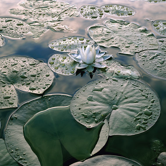 River Clay artist Ron Mellott