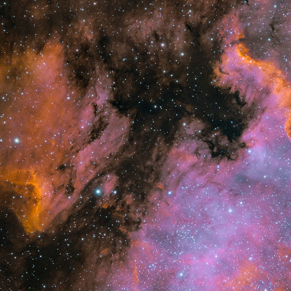 River Clay artist Dakota Olinger