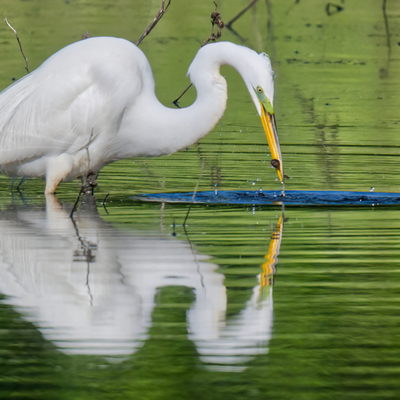 River Clay artist Stan Hyde